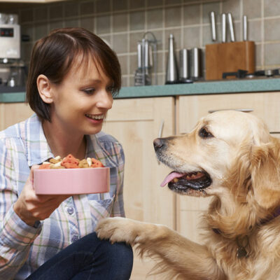 8 Tips to Formulate a Healthy Canine Diet