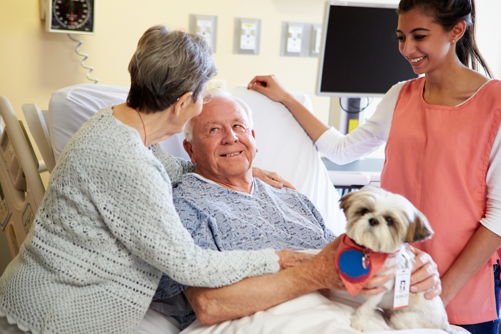 &#8220;Discover the Secret to Senior Happiness: The Magic of Support Pets&#8221;